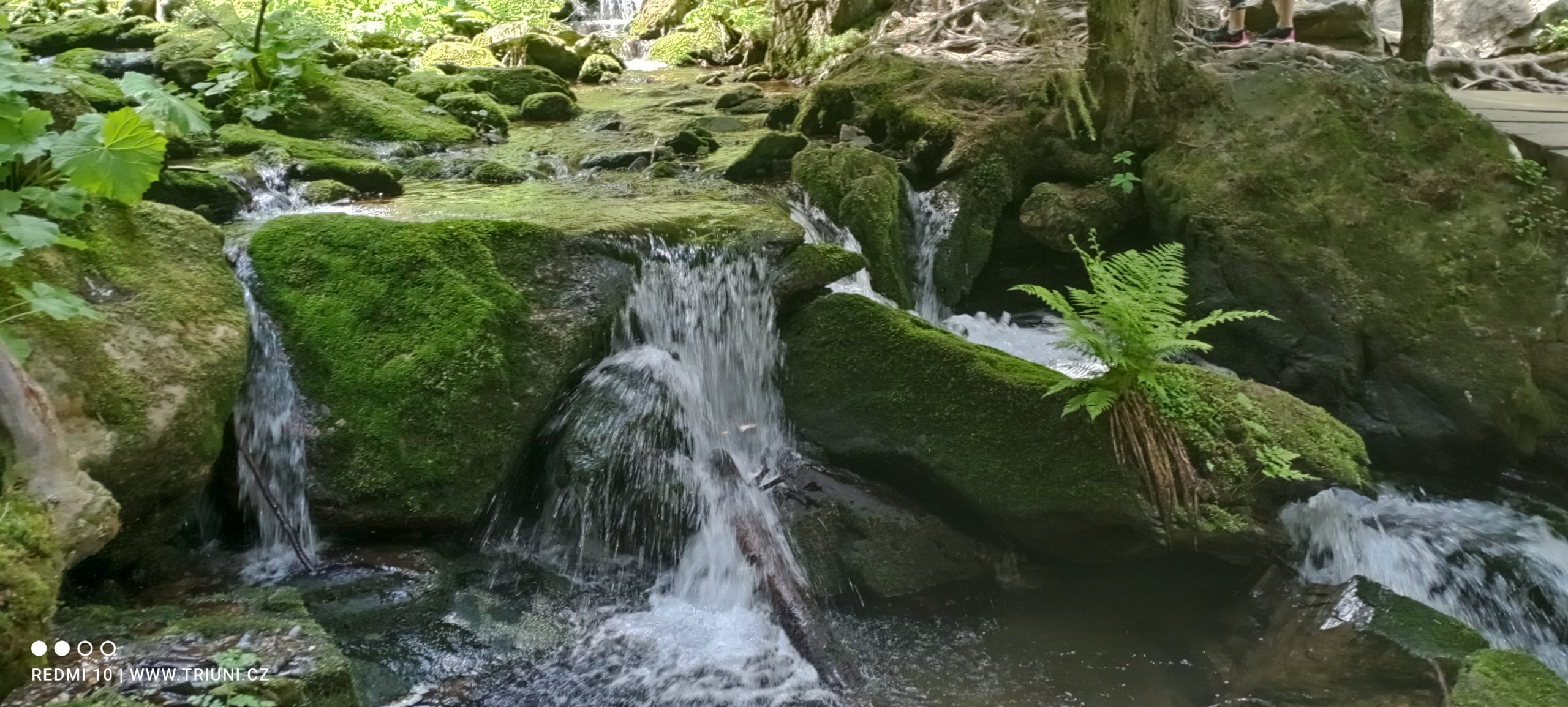 7. výšlap na Barborku z Karlové Studánky po stezce Bílé Opavy